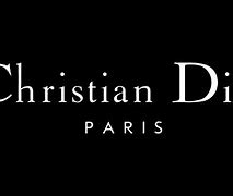 Image result for White Christian Dior Logo