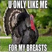 Image result for Funny Thanksgiving Memes Dirty