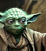 Image result for Pirate Yoda