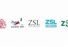 Image result for co_to_za_zsl