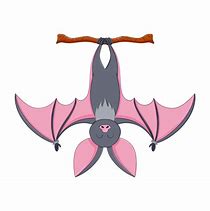 Image result for Hanging Bat Vector