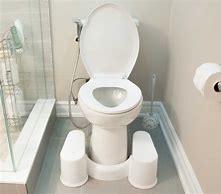 Image result for Squat Toilet Bidet