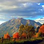 Image result for Fall Photography