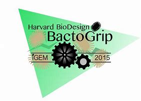 Image result for Harvard applications drop