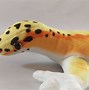 Image result for Leopard Gecko Plush