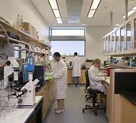 Image result for Things You Should Not Do during Lab