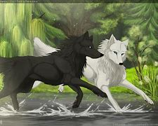 Image result for Black and White Anime Wolf Love