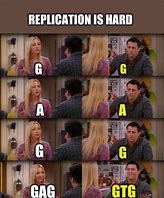 Image result for Meme On DNA Replication and RNA Polymerase