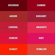 Image result for Cranberry Red vs Burgundy