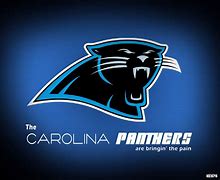 Image result for Panthers NFL