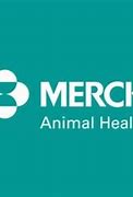 Image result for Merck Animal Health Logo