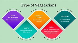 Image result for Vegan Definition