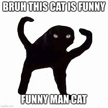 Image result for Cat Man Meme