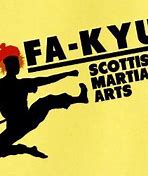 Image result for Martial Arts Store Scotland