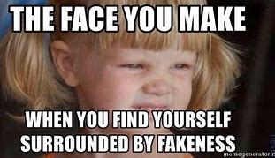 Image result for Memes About Being Fake