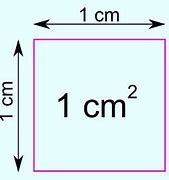 Image result for What Object Is About 20 Square Cm