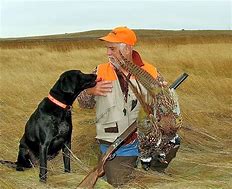 Image result for Waterfowl Hunting Retriever