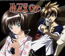 Image result for Black Cats Anime Manga
