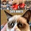 Image result for Super Funny Grumpy Cat Memes