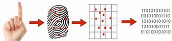 Image result for Biometric Fingerprint Applications Diagram