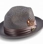Image result for Straw Fedora Hats for Men