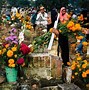 Image result for DIA De Muertos Mexico