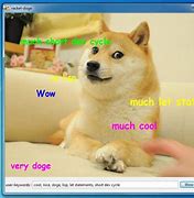 Image result for Doge Meme Merchandise