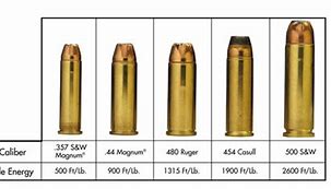 Image result for 454 Casull vs 500 Mag