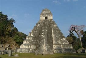 Image result for Tikal Echidna