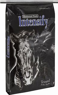 Image result for Intensify Horse Feed