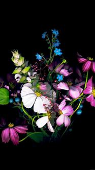 Image result for Flower iPhone SE Wallpaper