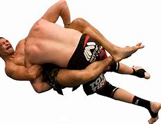 Image result for Mixed Martial Arts Moves