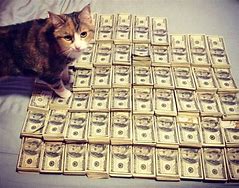 Image result for Not Very Cash Money Cat