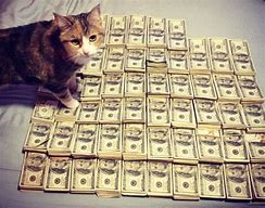 Image result for Cat with Money Meme