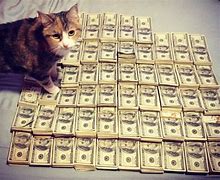 Image result for Old Money Cat Meme