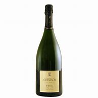 Image result for Agrapart Champagne Mineral Blanc Blancs Extra Brut