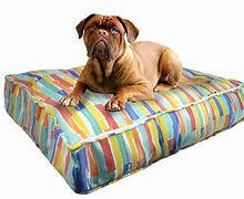 Image result for Outdoor Pet Bed