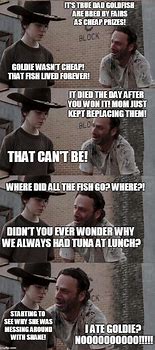 Image result for Walking Dead Carl Fish Memes