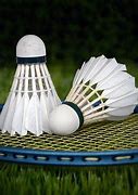 Image result for Badminton Shuttlecocks