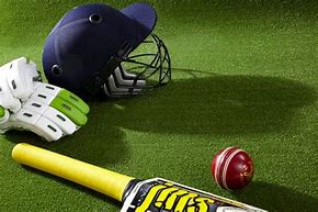 Image result for Women's Cricket Gear