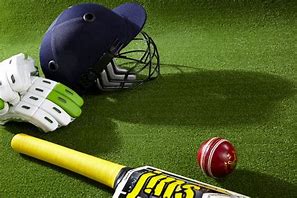 Image result for Cricket Gear