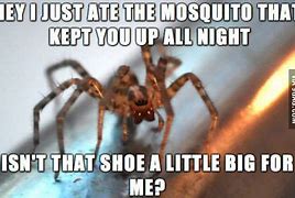 Image result for Ohio Spider Meme