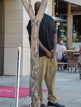 Image result for Funny Hiding in a Tree