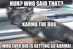 Image result for Karma Dogs Meme