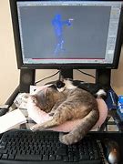 Image result for Cat in Computer Case
