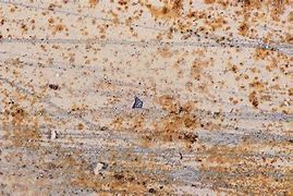 Image result for Stainless Steel Green Corrosion