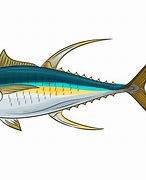 Image result for Tuna Fish Clip Art