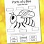 Image result for Bee Worksheet