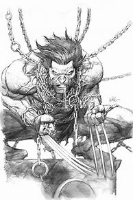 Image result for Wolverine Comic Book Art