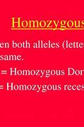 Image result for Homozygous for A1298C CC